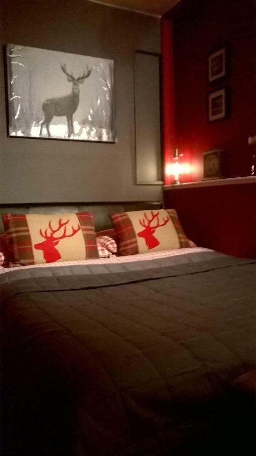 Holly House Bed And Breakfast And Apartments Hereford Eksteriør billede