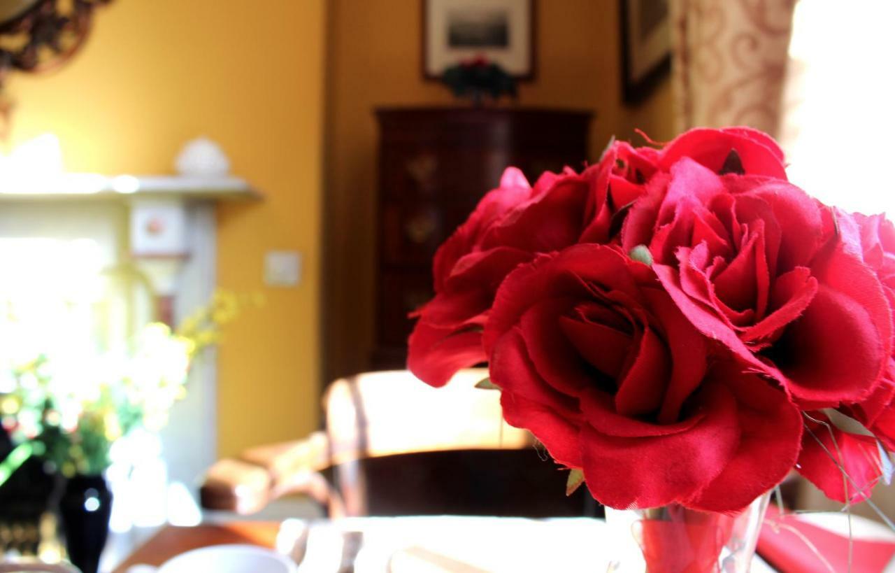 Holly House Bed And Breakfast And Apartments Hereford Eksteriør billede